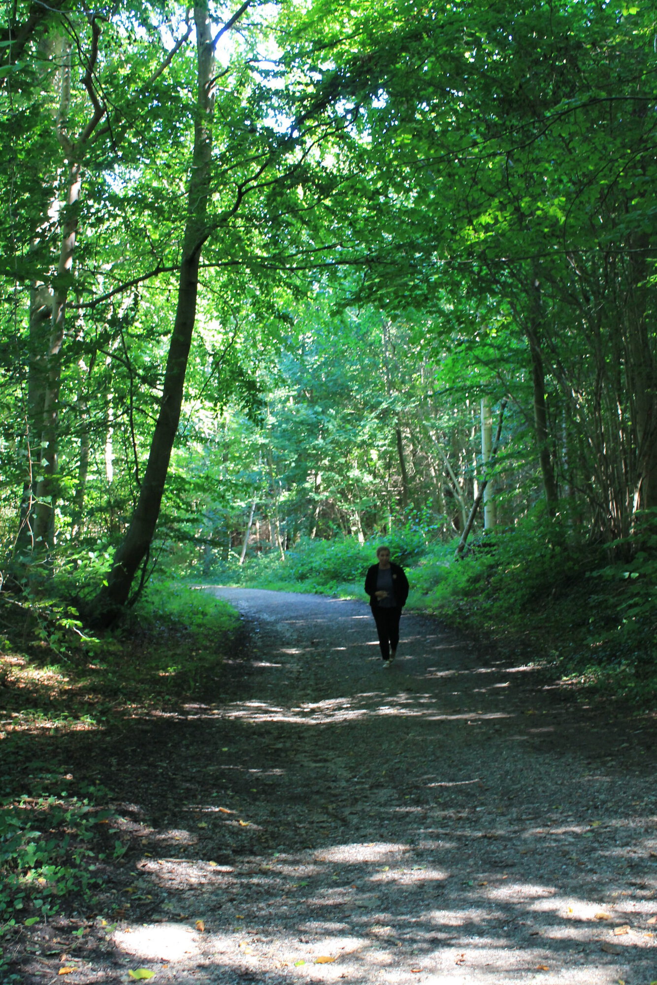 Løb og vandreruter ved Severin Kursuscenter i Middelfart på Fyn - Staurby Skov