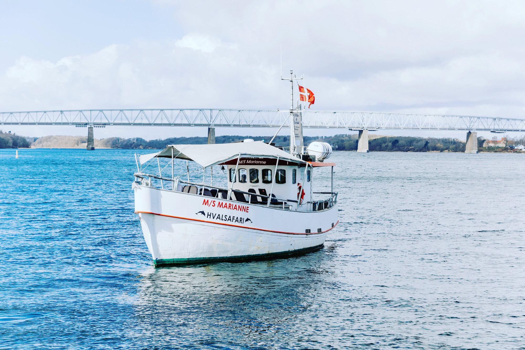 Tag på hvalsafari - Teambuilding på Severin Kursuscenter og Hotel i Middelfart på Fyn